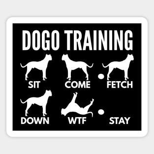 Dogo Training Dogo Argentino Tricks Magnet